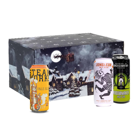 Craft Beer Advent Calendar 24 x Assorted Tall Cans